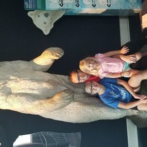 Meet your Posher, Mavrick